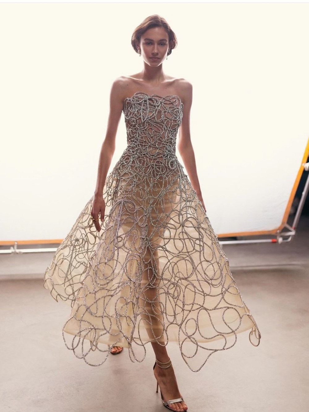 NWOT Oscar de la Renta Crystal Embroidered Cord Gown